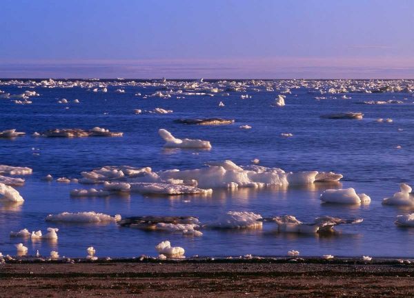Canada, Churchill, ice floe in Hudson Bay